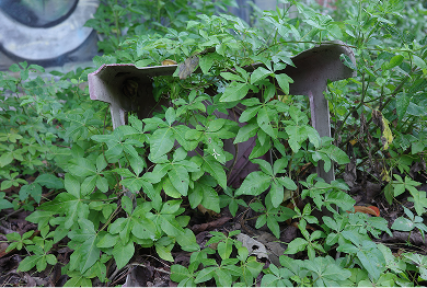 建功油庫旁 原漆彈場